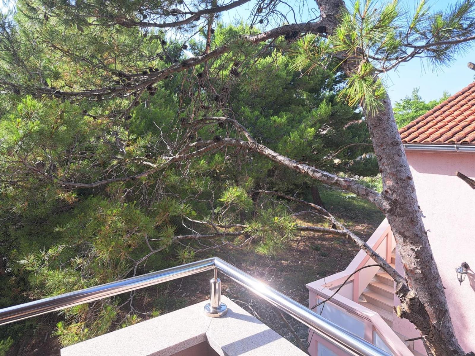 Apartmani Vukadin Vir Bagian luar foto